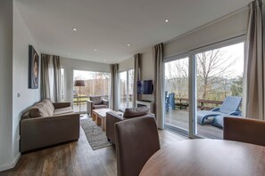 TV, fireplace, DVD player