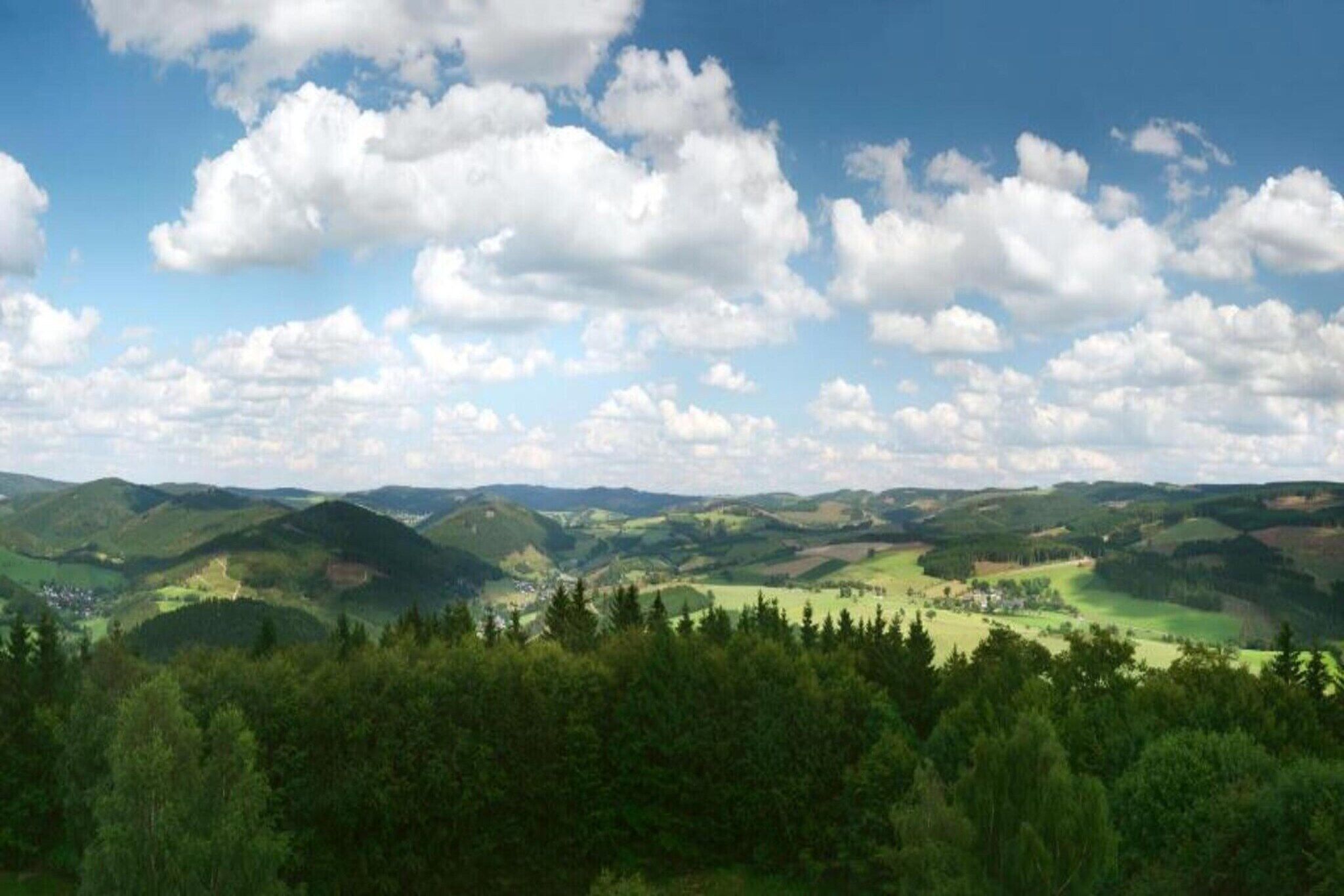 Ein weites Panorama über eine gebirgige Landschaft mit sanften Hügeln, einem Tal und vereinzelten Bäumen.