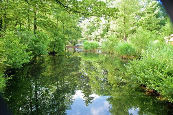 A serene pond surrounded by lush greenery and trees.