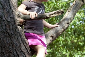 A child climbing a tree branch.