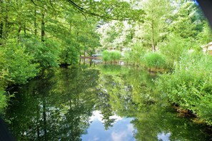 A serene pond surrounded by lush greenery and trees. - Bungalow in Netherlands with Sauna & Privacy (Kootwijk)