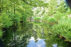 A serene pond surrounded by lush greenery and trees.