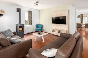 TV connectée, cheminée