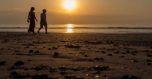 Villa in Domburg near North Sea Beach