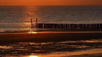 Vlak bij het strand