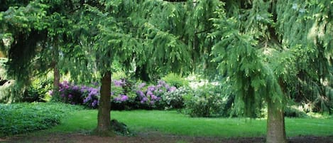 Parco della struttura