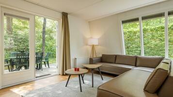 TV connectée, cheminée, lecteur de DVD