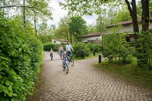 Stroll through the serene residential area, surrounded by lush greenery and traditional homes with brick facades.
