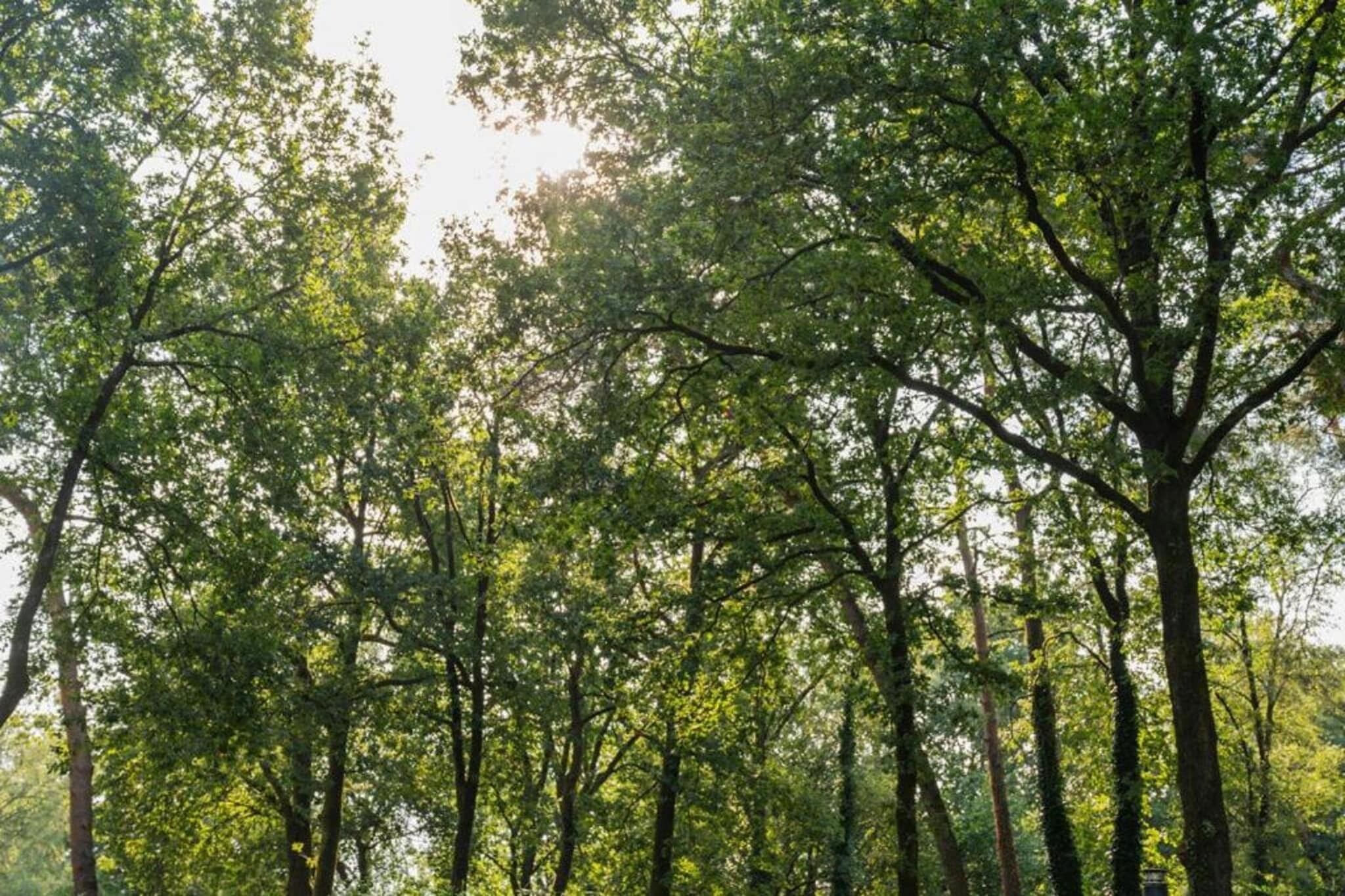 منوع