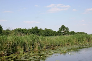Enceinte de lâhĂ©bergement