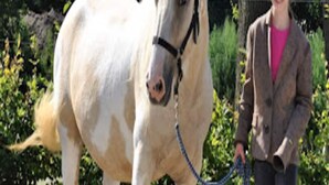 A person leading a white horse in an outdoor setting with greenery and a fence in the background. - Chic Stay by the Heathlands (Ruinen)