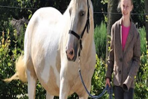 Miscellaneous - Chic Stay by the Heathlands (Ruinen)