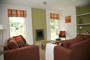 スマートテレビ、暖炉、DVD プレーヤー