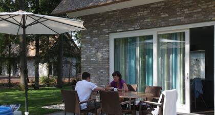 Wellness Villa in Green Ruinen