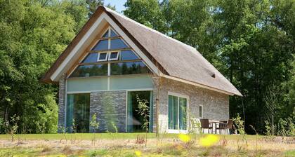 spacious and stylish villa