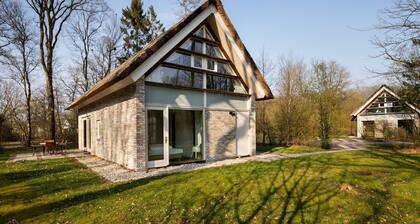 Villa mit Solarium bei Hoogeveen