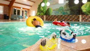 An indoor swimming pool with clear water, a mural on the wall, and a wooden deck with poolside chairs. - Thatched Villa in National Park (Paasloo)
