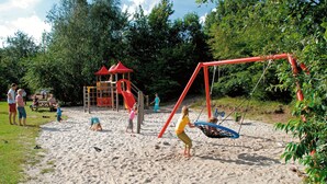 Ein Spielplatz mit Schaukel und Rutsche, umgeben von Sand und Bäumen.