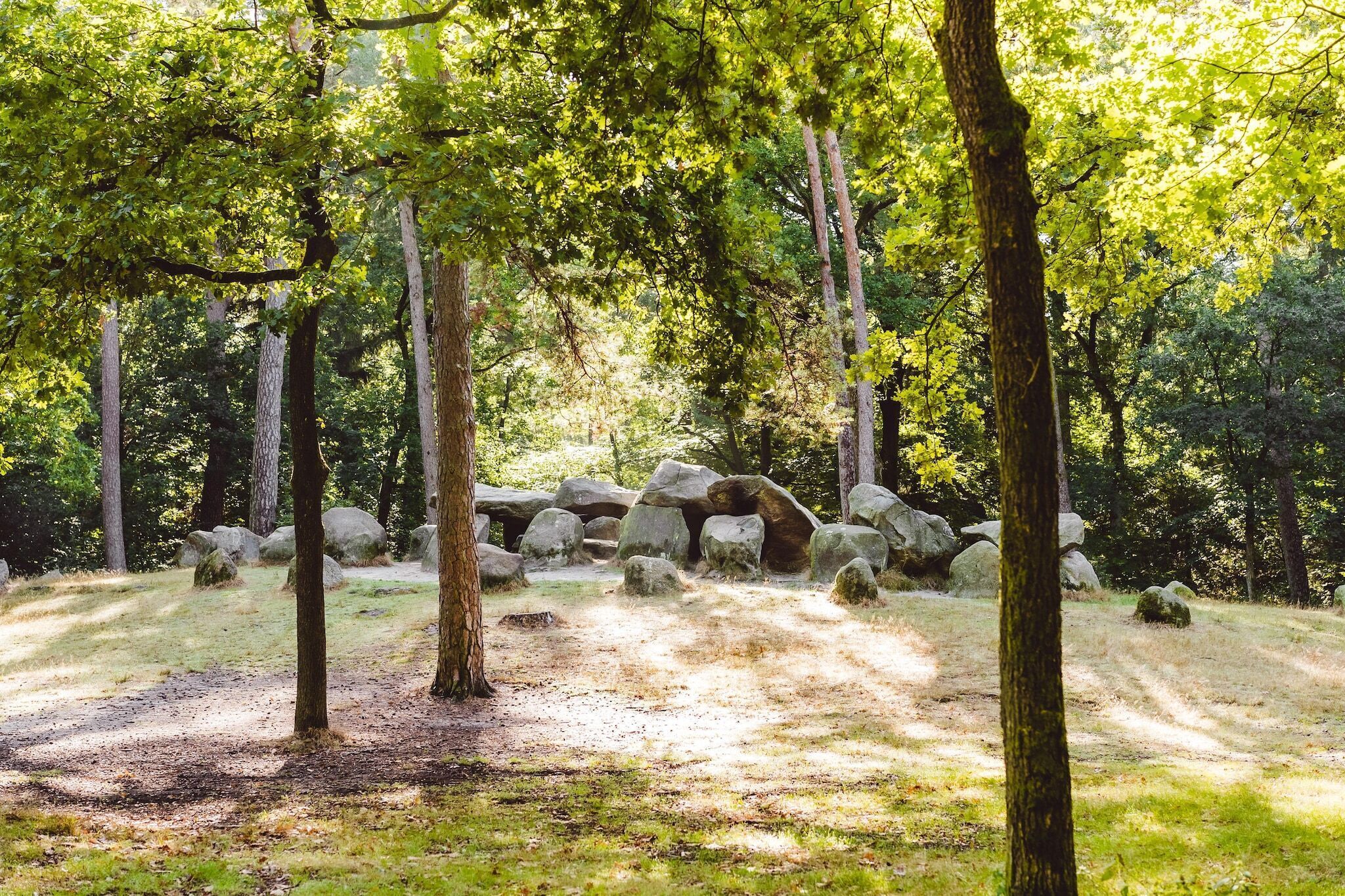 A forested area with a dirt path and large rocks.
