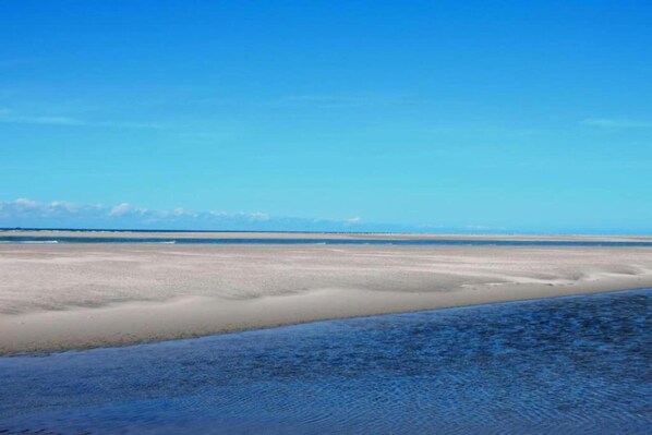 Nära stranden