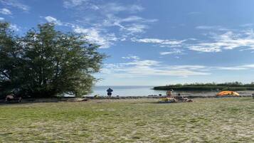 A lakeside campsite with tents, a tree, and a clear sky.