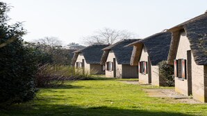 A row of thatched-roof cottages with a grassy pathway leading to them. - Bungalow in Veluwe with Infrared Sauna (Putten)