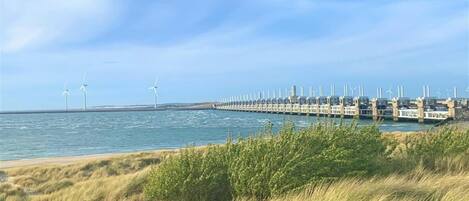 海滩