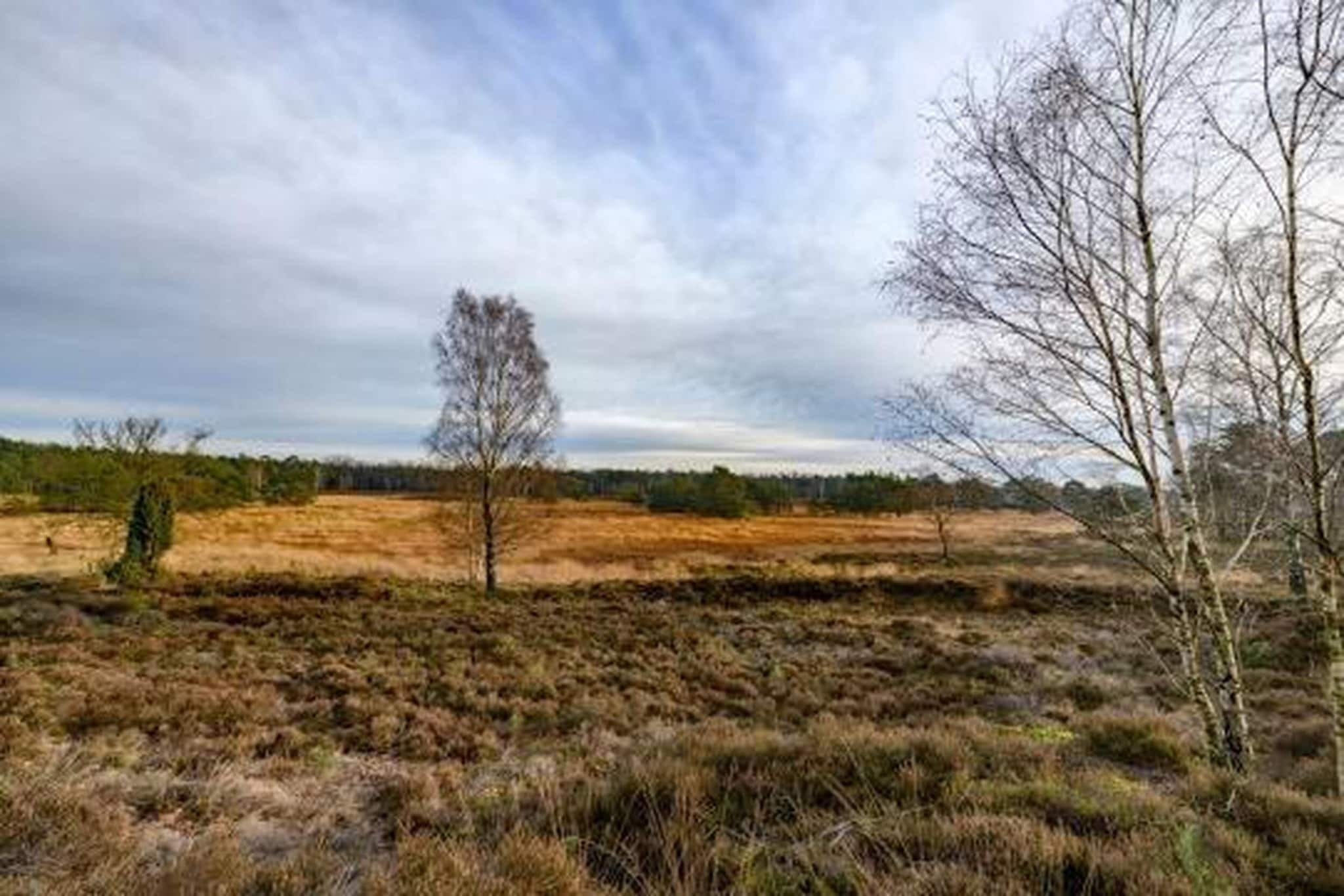 Eine natürliche Landschaft mit einem Baum im Vordergrund und einem weitläufigen Feld im Hintergrund.