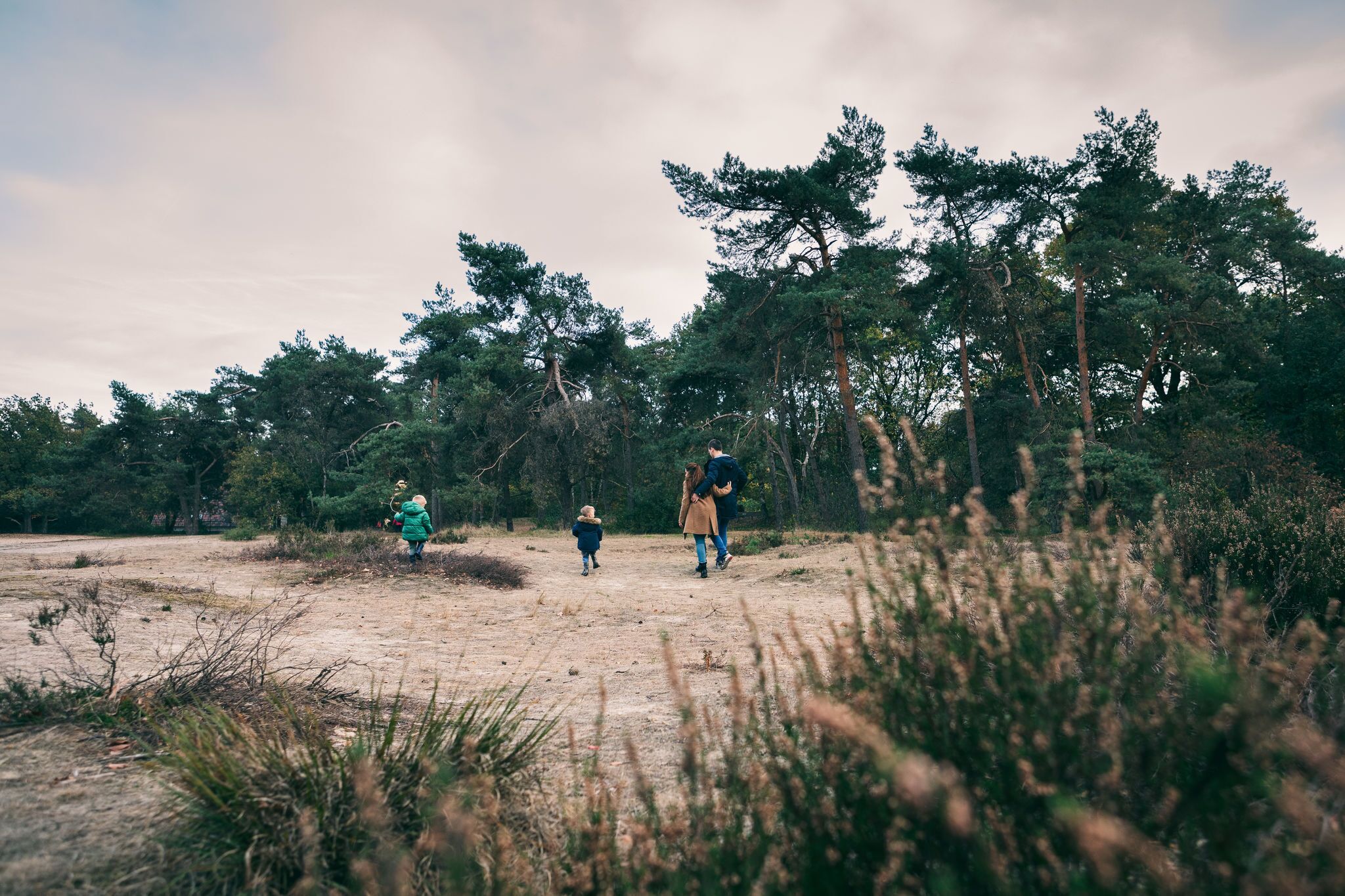 A natural landscape with a dirt path, trees, and grass.