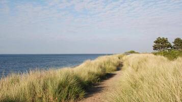 Plage à proximité