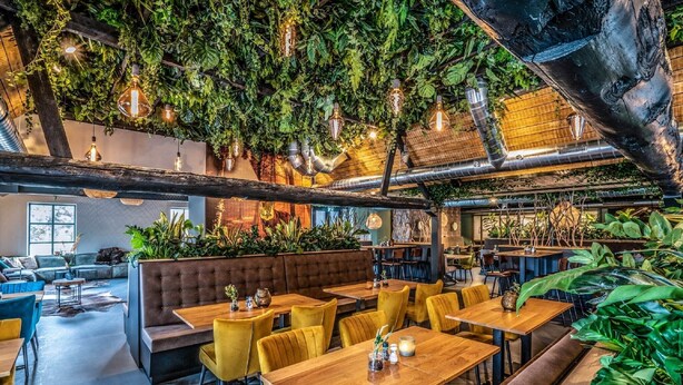Un restaurant décoré de plantes d’intérieur, avec des tables en bois et des chaises jaunes.