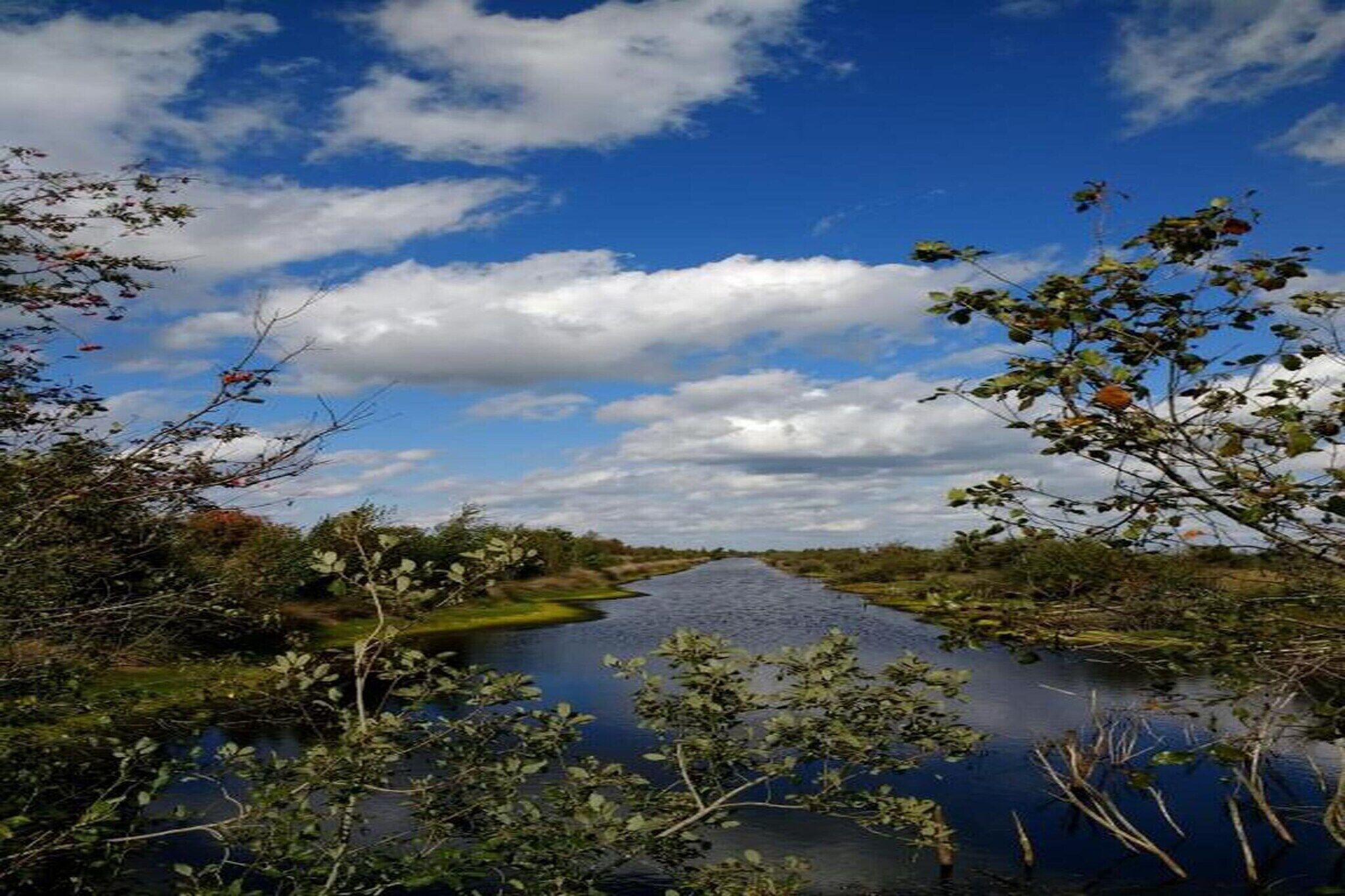 منوع