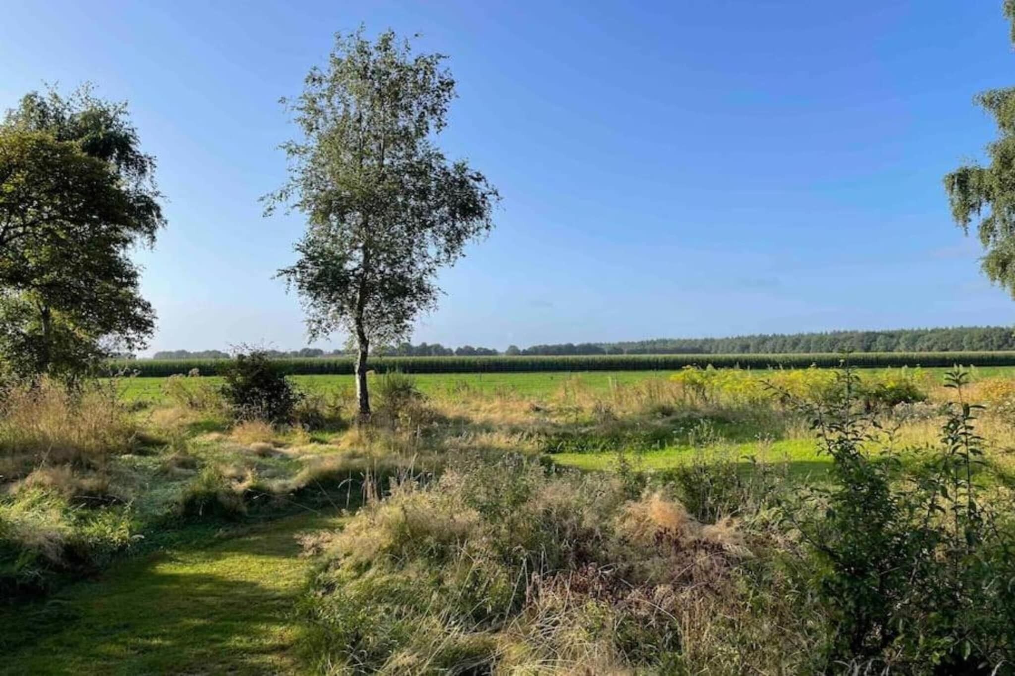 A rural landscape with a clear sky, a single tree, and a field in the distance.