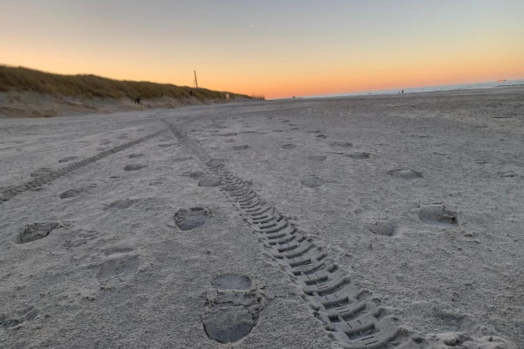 Une plage de sable avec des empreintes de pas qui mènent vers l’eau, une dune en arrière-plan et un ciel dégagé.