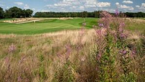 A golf course with a clear sky, trees in the background, and a flag on the green. - Bungalow near Breda & De Biesbosch Park (Oosterhout)