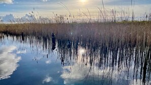 Un cuerpo de agua tranquila que refleja altas hierbas y un cielo despejado con el sol brillando.
