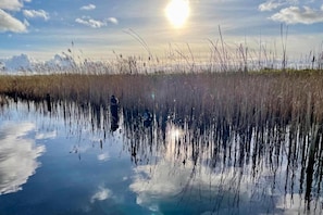 Un cuerpo de agua tranquila que refleja altas hierbas y un cielo despejado con el sol brillando.