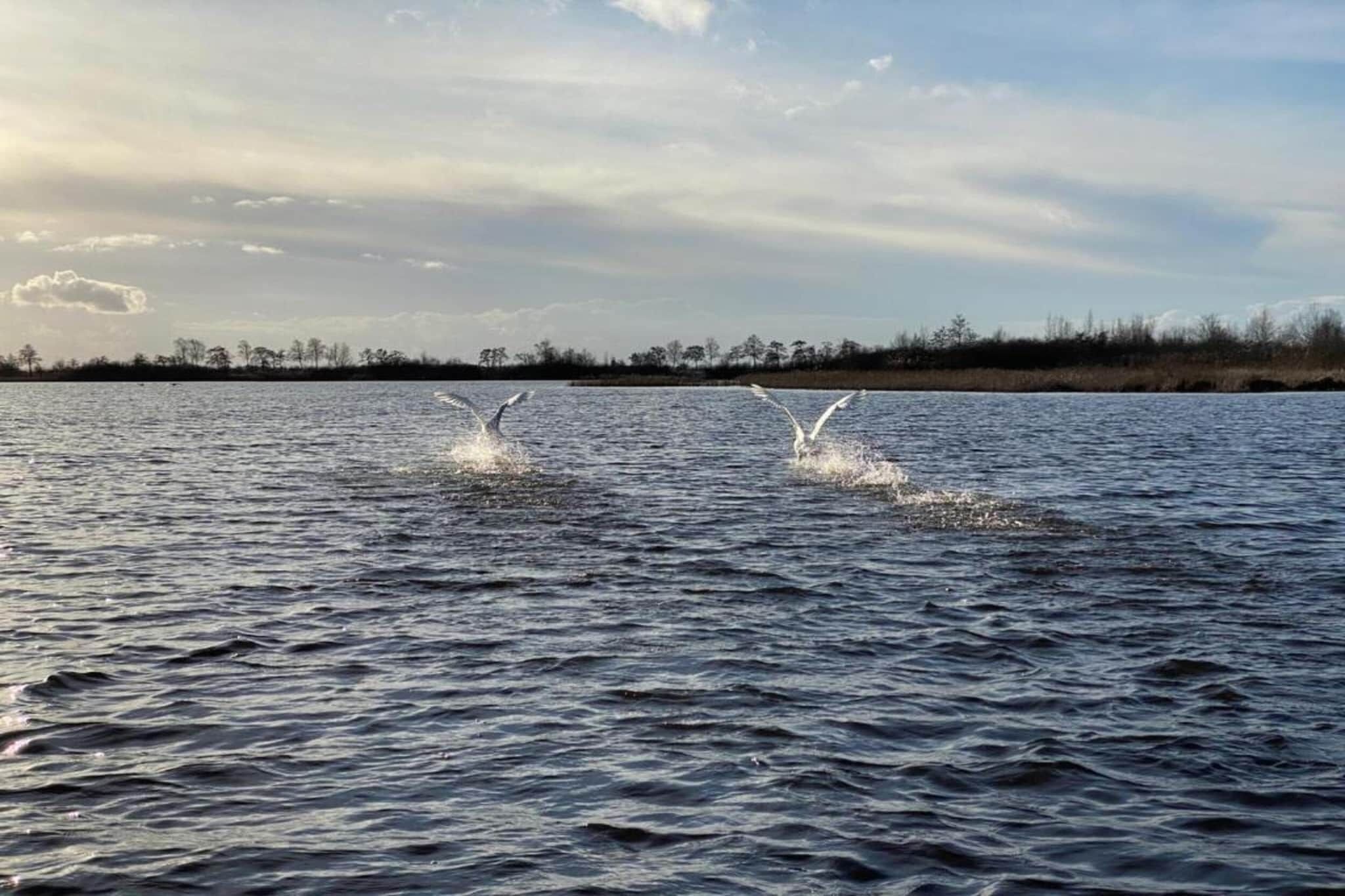 A body of water with birds flying over it.