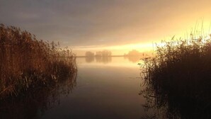Un lago tranquilo con altas hierbas en sus orillas, reflejando el cielo.