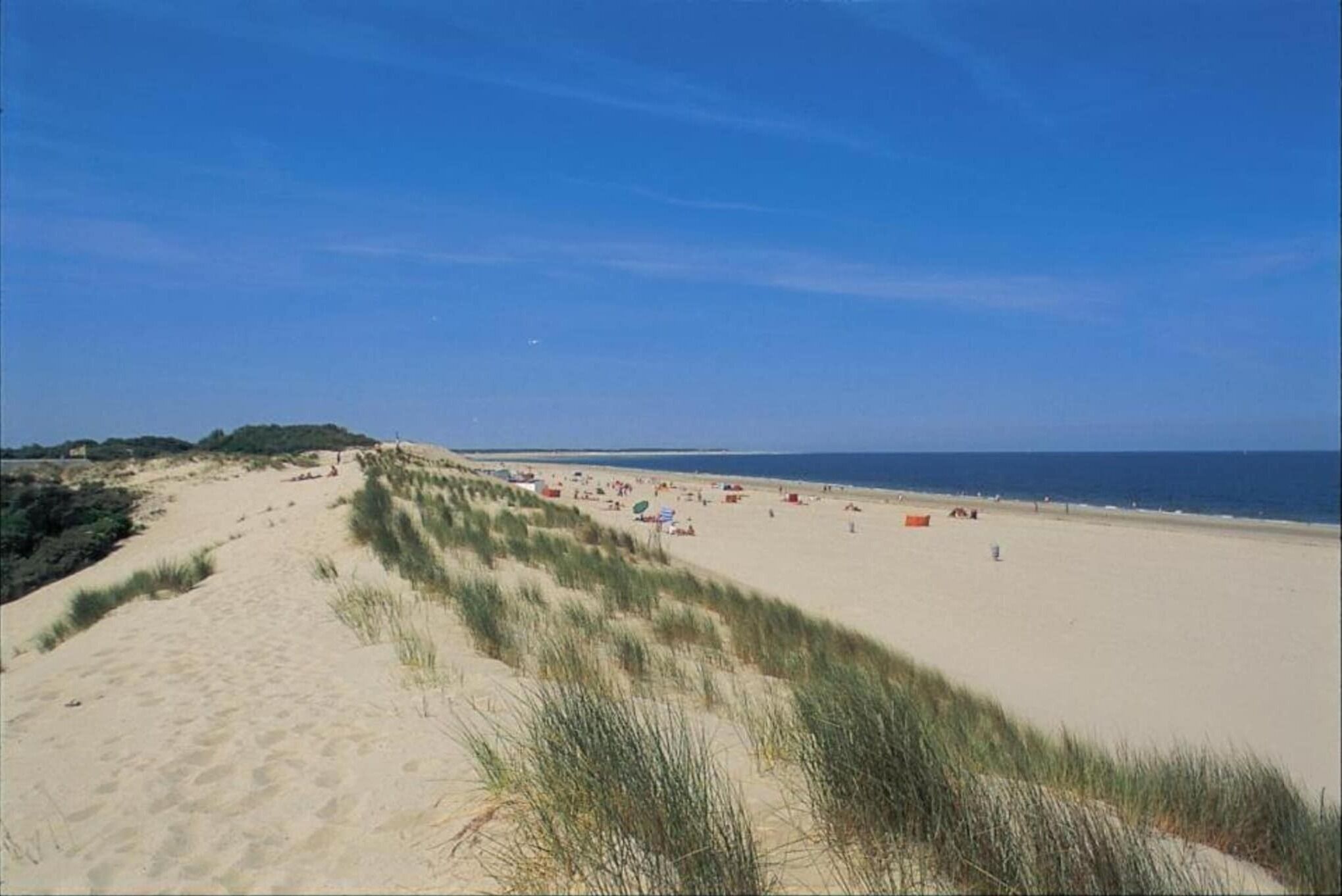 Vlak bij het strand