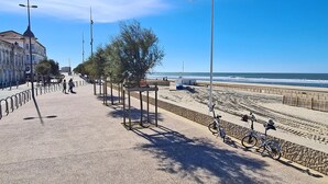 A coastal promenade with a paved walkway, a beach, and a flag.