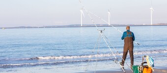 Villa in Banjaard near Sandy North Sea Beach
