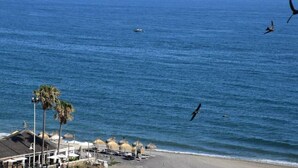Una playa con palmeras, sombrillas y una vista despejada del océano.