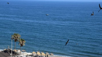 Ubicación a pie de playa