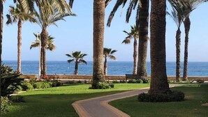 Un sendero que lleva a una playa con palmeras y un banco.
