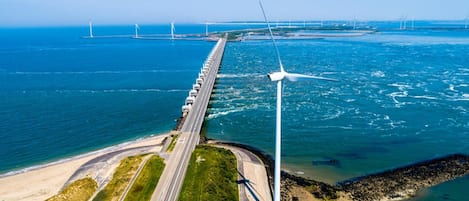 Nära stranden