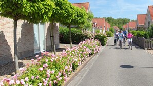 Uklassifisert bilde, 4 av 40, knapp