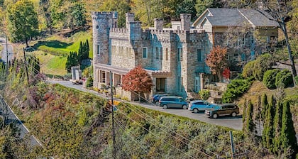 Black Bear Cabin - Fire pit - grill- view- pets-fireplace-king bed-wifi-gameroom