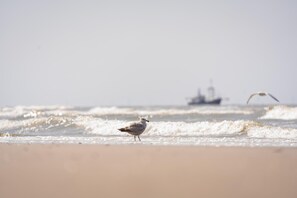 Beach nearby