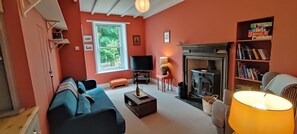 TV, fireplace, DVD player, books